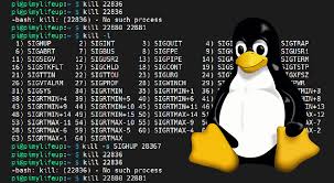 linux